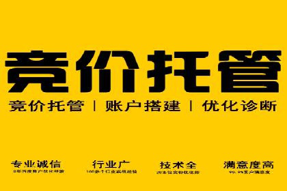 精准投放，sem竞价代运营的五大成功投放案例